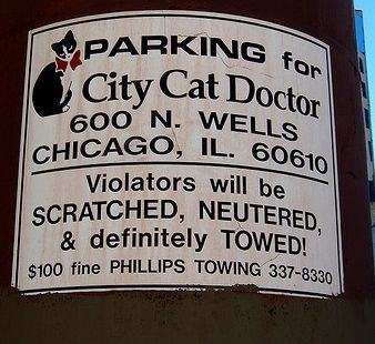 cat doctor parking sign