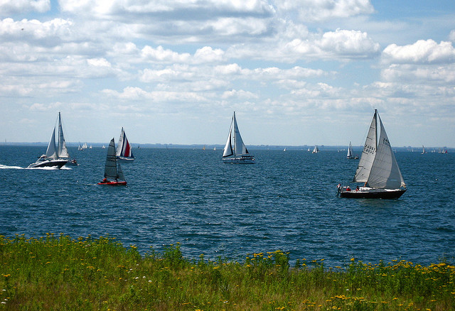 sailboats in the ocean