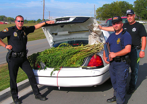 cops with marijuana in trunk of car