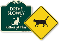 Cat Crossing Signs